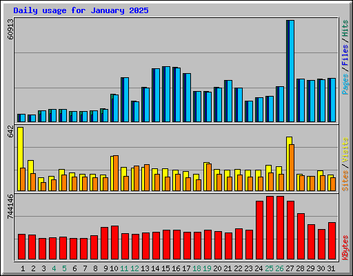 Daily usage for January 2025