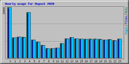 Hourly usage for August 2020