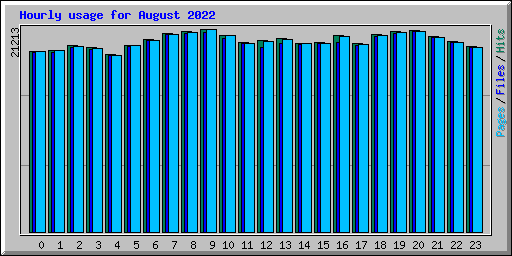 Hourly usage for August 2022