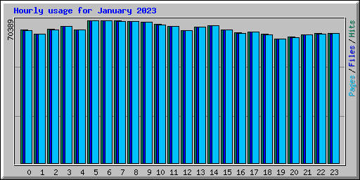 Hourly usage for January 2023