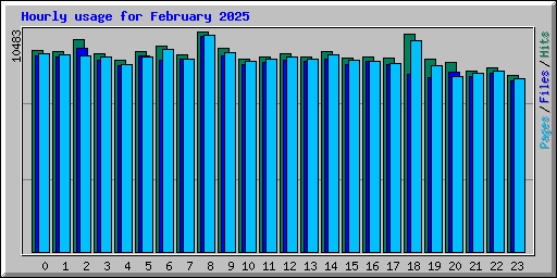 Hourly usage for February 2025