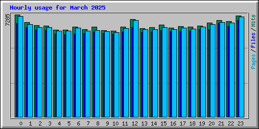 Hourly usage for March 2025