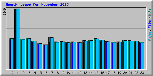 Hourly usage for November 2025