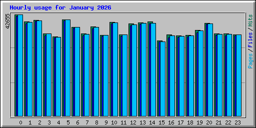 Hourly usage for January 2026